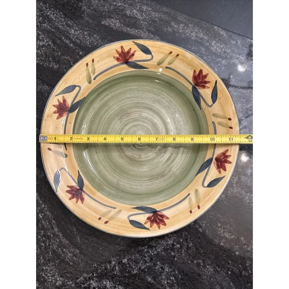 Pier 1 Elizabeth Stoneware Dinner Plate Handpainted Dishwasher Safe 11.5